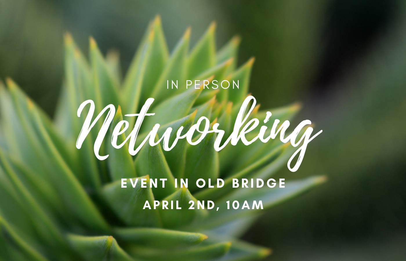 Therapist networking event old bridge